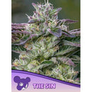 ANESIA SEEDS - THE SIN FEM - 3 SEEDS