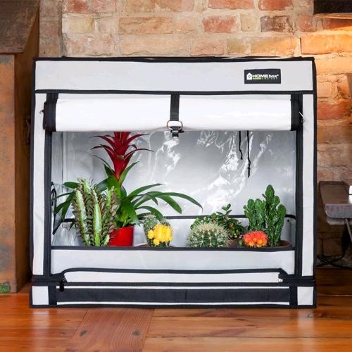 homebox ambient grow tent HOMEBOX