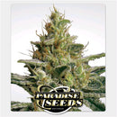 PARADISE SEEDS - ALLKUSH FEM  - 5 SEEDS