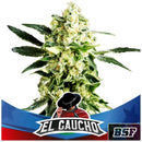 BSF - EL GAUCHO FAST FEM - 4 SEEDS
