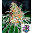 DELICIOUS SEEDS - CBD JAM - 3 SEEDS