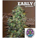 DELICIOUS SEEDS - ELEVEN ROSES - EARLY VERSION - 3 SEEDS