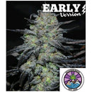 DELICIOUS SEEDS - GOLOSA - EARLY VERSION - 1 SEED