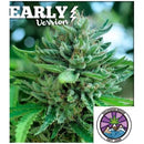 DELICIOUS SEEDS - DELICIOUS COOKIES - EARLY VERSION - 1 SEED