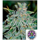 DELICIOUS SEEDS - NORTHERN LIGHT BLUE  AUTO - 3 SEEDS