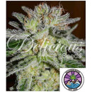DELICIOUS SEEDS - NORTHERN LIGHT BLUE FEM - 10 SEEDS