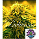 DELICIOUS SEEDS - SUGAR BLACK ROSE AUTO - 3 SEEDS