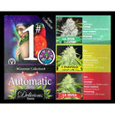 DELICIOUS SEEDS - AUTOMATIC