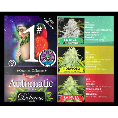 DELICIOUS SEEDS - AUTOMATIC