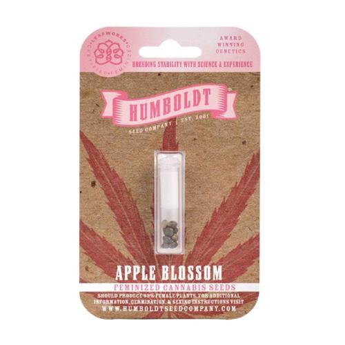 HUMBOLDT SEED COMPANY - APPLE BLOSSOM FEM - 3 SEEDS