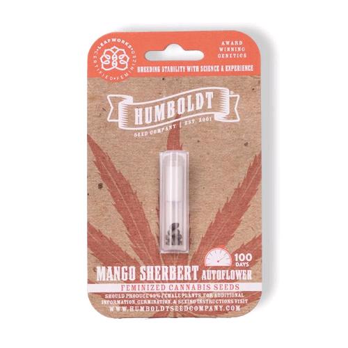 HUMBOLDT SEED COMPANY - MANGO SHERBERT AUTO - 3 SEEDS