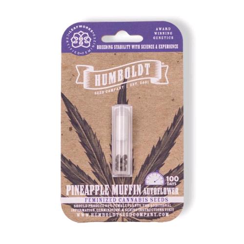 HUMBOLDT SEED COMPANY - PINEAPPLE MUFFIN AUTO - 3 SEEDS