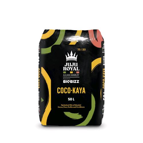 JUJU ROYAL - COCO KAYA - 50L