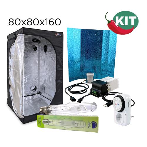 KIT PEPPER - BOX 80 - REF MH 400