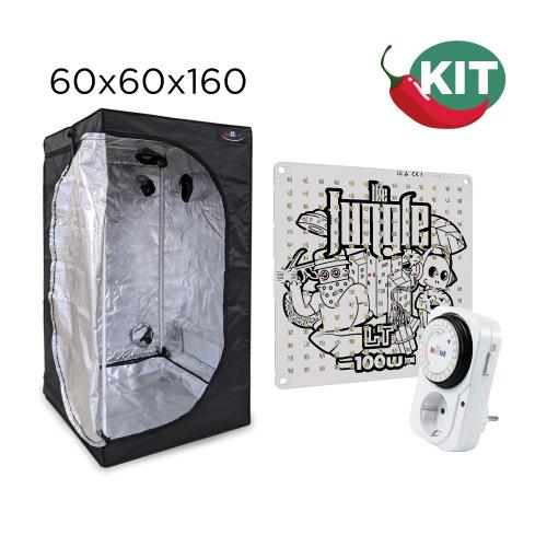 KIT PEPPER - BOX 60 - LED LT 100