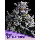ANESIA SEEDS - ELEMENTZ FEM - 5 SEEDS