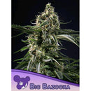 ANESIA SEEDS - BIG BAZOOKA FEM - 5 SEEDS