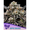 ANESIA SEEDS - EPIC BUZZ FEM - 5 SEEDS