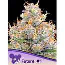 ANESIA SEEDS - FUTURE