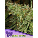 ANESIA SEEDS - SOUR APPLE FEM - 5 SEEDS