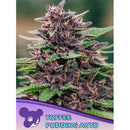 ANESIA SEEDS - TOFFEE PUDDING AUTO - 5 SEEDS