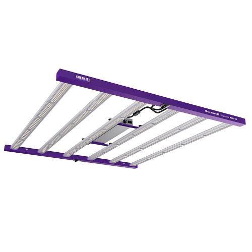 CULTILITE - QUASAR 630 -  3.1 �mol/J