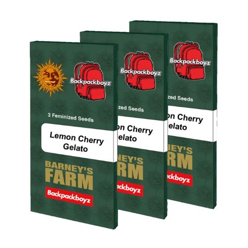 BARNEY'S FARM X BACKPACKBOYZ - LEMON CHERRY GELATO - 1 SEEDS