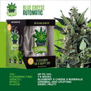 ROYAL QUEEN SEEDS - IGROWCAN - ROYAL KUSH AUTOMATIC