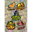 FAST BUDS - MIX PACK FEM - 5 SEEDS