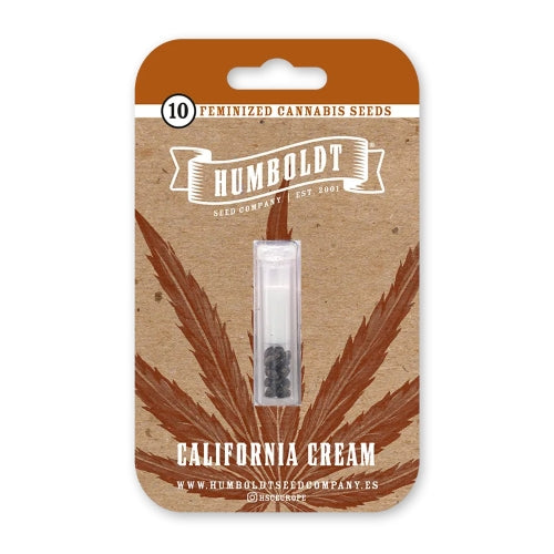 HUMBOLDT SEED COMPANY - CALIFORNIA HAZE FEM - 5 SEEDS