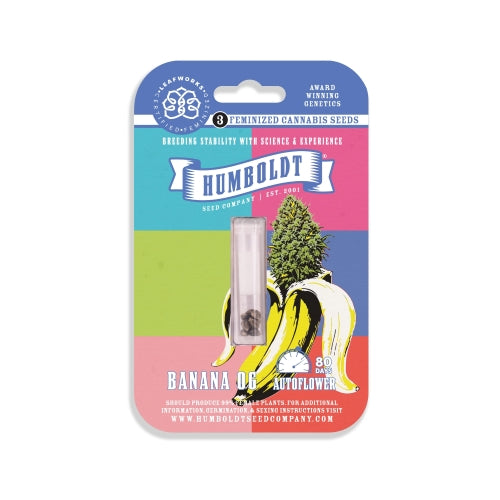 HUMBOLDT SEED COMPANY - BANANA OG AUTO - 10 SEEDS