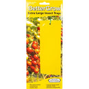 BETTERGROW - EXTRA LARGE INSECT TRAPS  (10PZ)