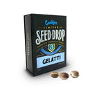COOKIES SEED BANK - GELATTI FEM - 3 SEEDS