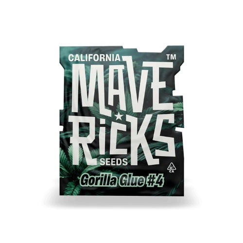 MAVERICKS - GORILLA GLUE #4 FEM - 10 SEEDS