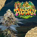 PERFECT TREE SEEDS - PICCHU FEM - 6 SEEDS + 3 LH2P FREEBIE