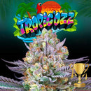 PERFECT TREE SEEDS - TROPIC'OZZ FEM - 6 SEEDS + 3 LH2P FREEBIE