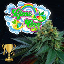 PERFECT TREE SEEDS - LIME OZZ FEM - 6 SEEDS + 3 LH2P FREEBIE