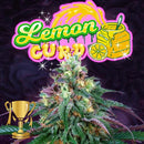 PERFECT TREE SEEDS - LEMON CURD FEM - 6 SEEDS + 3 LH2P FREEBIE