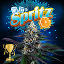 PERFECT TREE SEEDS - SPRITZ FEM - 6 SEEDS + 3 LH2P FREEBIE