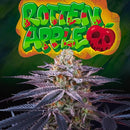 PERFECT TREE SEEDS - ROTTEN APPLE FEM - 6 SEEDS + 3 LH2P FREEBIE