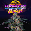 PERFECT TREE SEEDS - MIDNIGHT SUNSET FEM - 6 SEEDS + 3 LH2P FREEBIE
