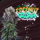PERFECT TREE SEEDS - COCONUT CREAM FEM - 6 SEEDS + 3 COCO MILK FREEBIE