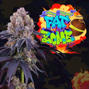 PERFECT TREE SEEDS - LEMON COCONUT FAT BOMB FEM - 6 SEEDS + 3 COCO MILK FREEBIE