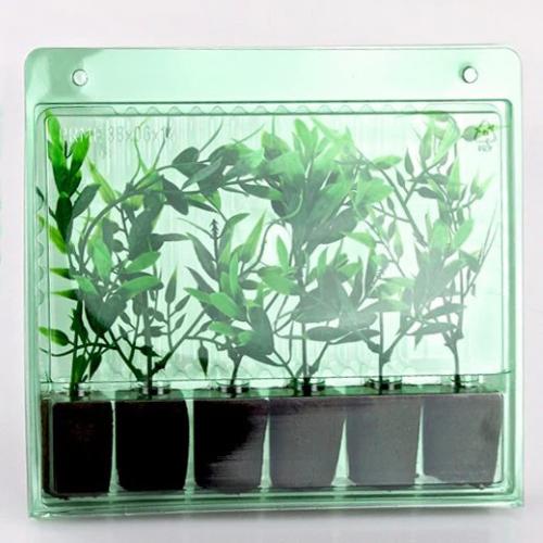 VOGES - CUTTING TRAY BLISTER - 6 SLOTS