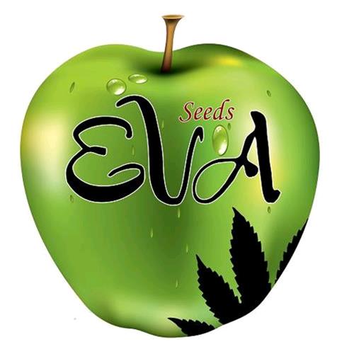 EVA SEEDS - MONSTER - 9 SEEDS