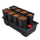 WILMA - GROW SYSTEM 8 (8X11L) 120X60X20CM