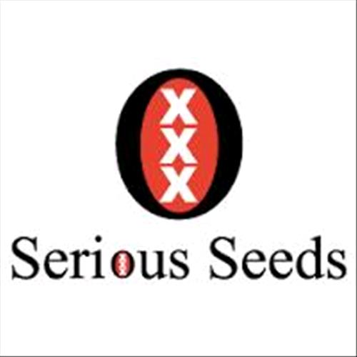 SERIOUS SEEDS - BIDDY EARLY - 6 SEEDS