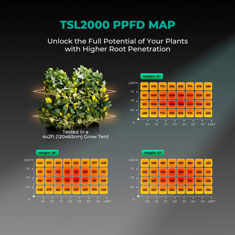 Mars Hydro TSL 2000 Full Spectrum Dimmable 300W LED Grow Light