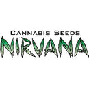 NIRVANA - SATIVA'S SOUR DIESEL - FEMM 5 SEEDS