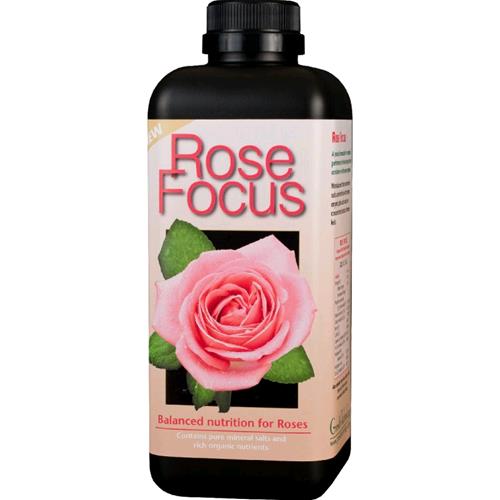 GROWTH TECHNOLOGY - ROSE FOCUS 300 ML